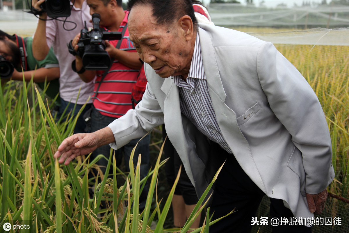 近亲为什么不能结婚？近亲结婚的危害有哪些-第7张图片