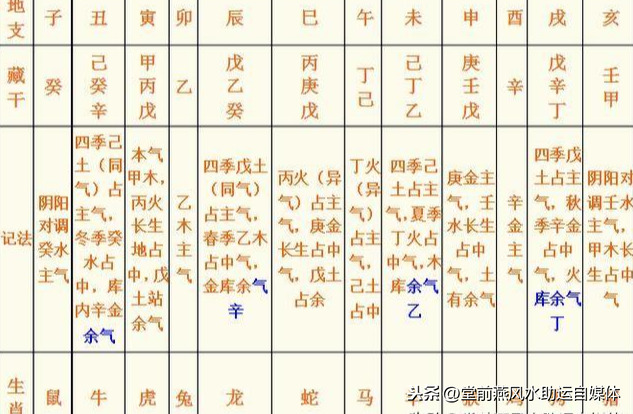 天时地利人和，八字地支藏干就是人元（基础提升篇）