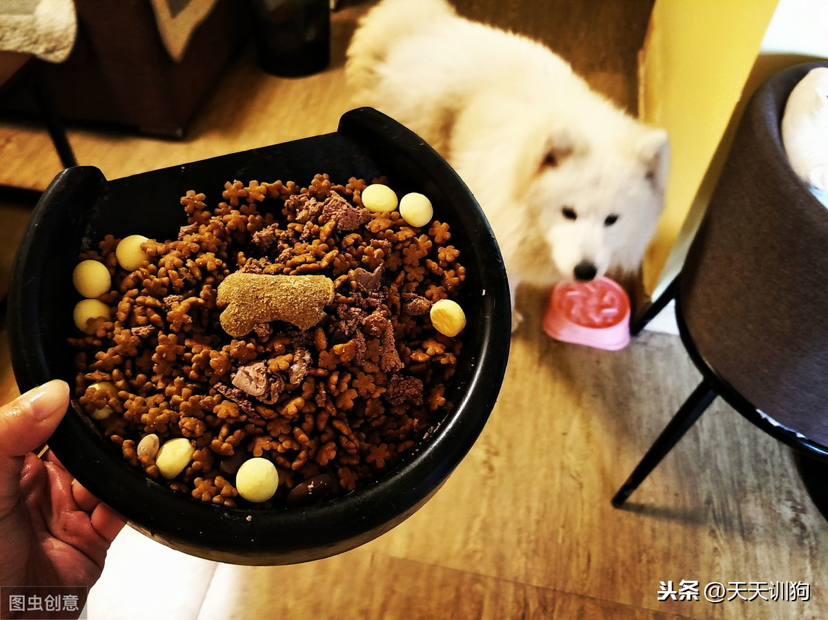 狗糧怎么泡,狗糧怎么泡軟步驟