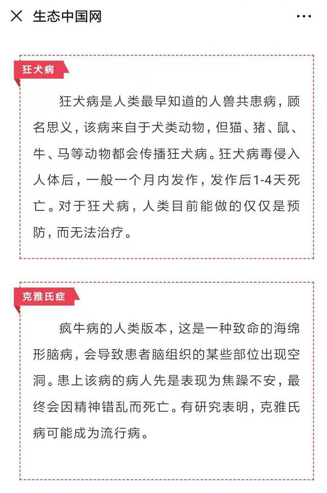 狗都有狂犬病毒吗(狂犬病来自犬类动物？世界卫生组织：健康狗狗本身没有狂犬病毒)