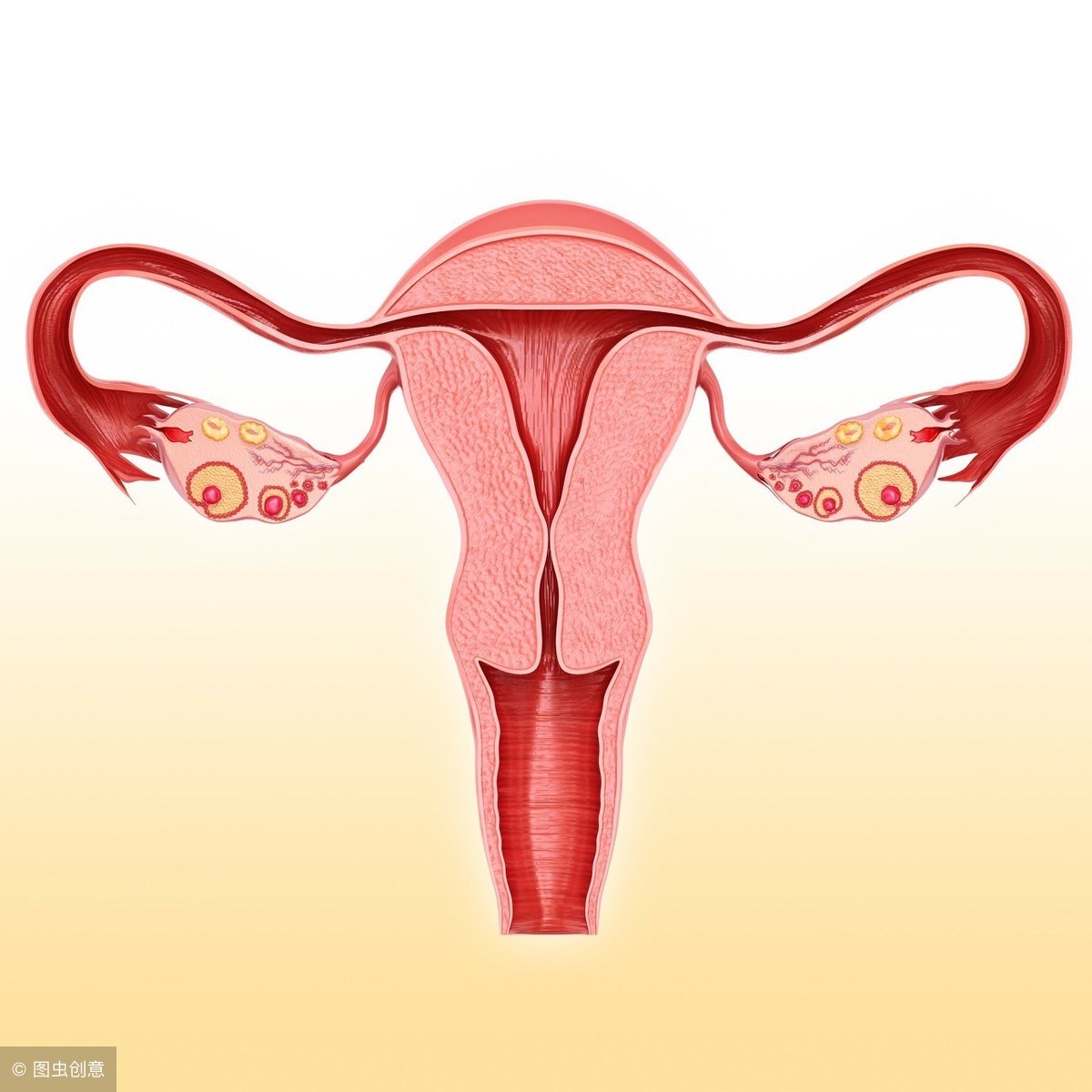 什么是不正常的子宫内膜，如何处理？