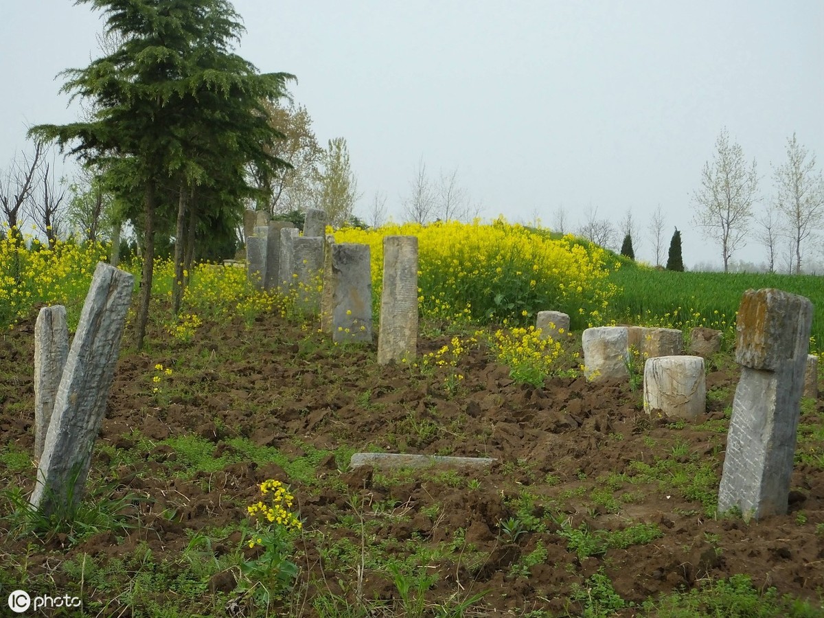 农村老家房屋旁边50米内有人新建了坟墓，该怎么处理？你怎么看？