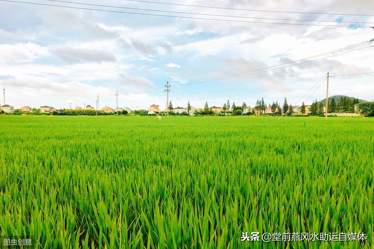 四柱之如何判断旺衰，在人生道路的起起伏伏阶段得以警示