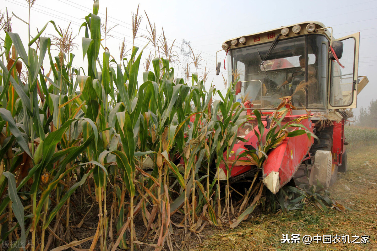 玉米收獲機(jī)，現(xiàn)在最有看頭