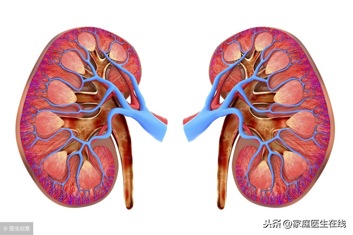 身体发出4个“警报”，要检查检查肾脏，它可能在衰竭了