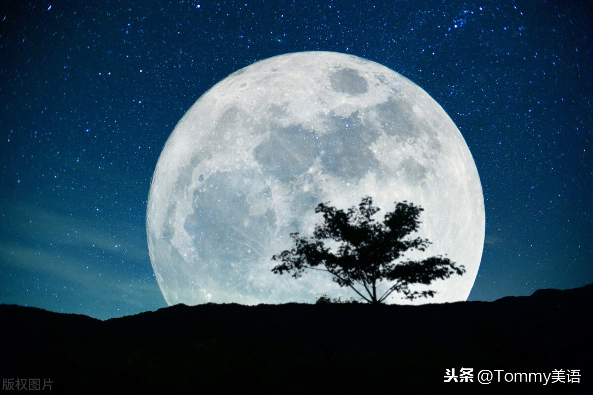 15秒記一個單詞(第3294個)lunar