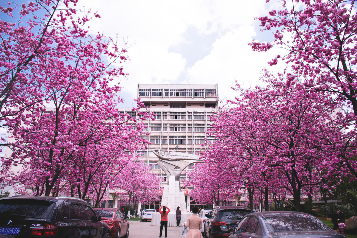 云南经济管理学院位居2020云南省民办大学排名第1在校友会2020中国