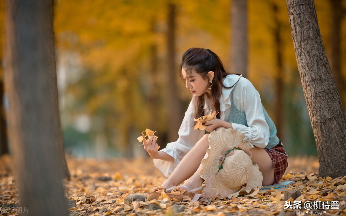 点评33张照片，讲6组拍摄示例，银杏这么拍很美