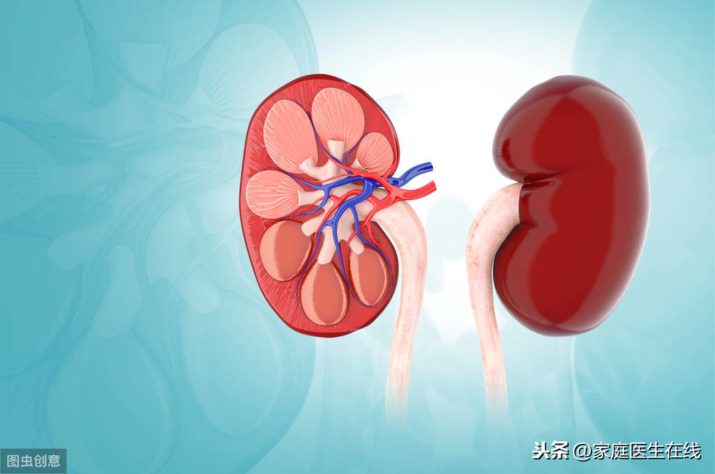 肾结石是怎么形成的？这5个习惯是“幕后凶手”，及时改掉吧