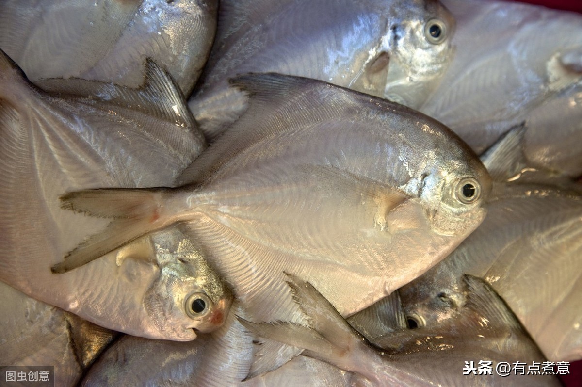 这“8种鱼”适合给孩子吃，肉多刺少营养足，贵也要多给孩子吃