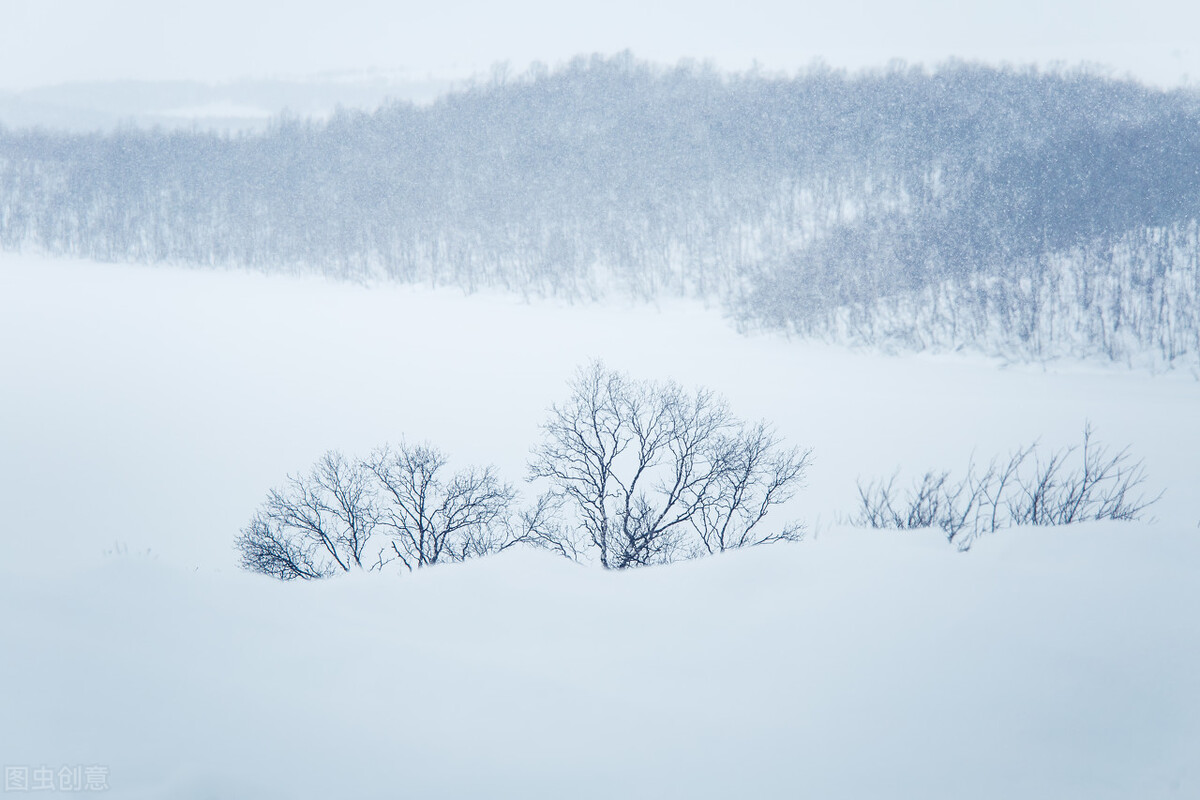 在大雪之中行走