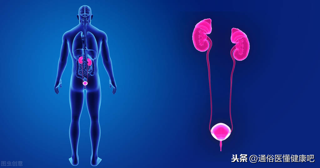 体外冲击波“碎石”和输尿管软镜“取石”，谁更“胜”一筹？