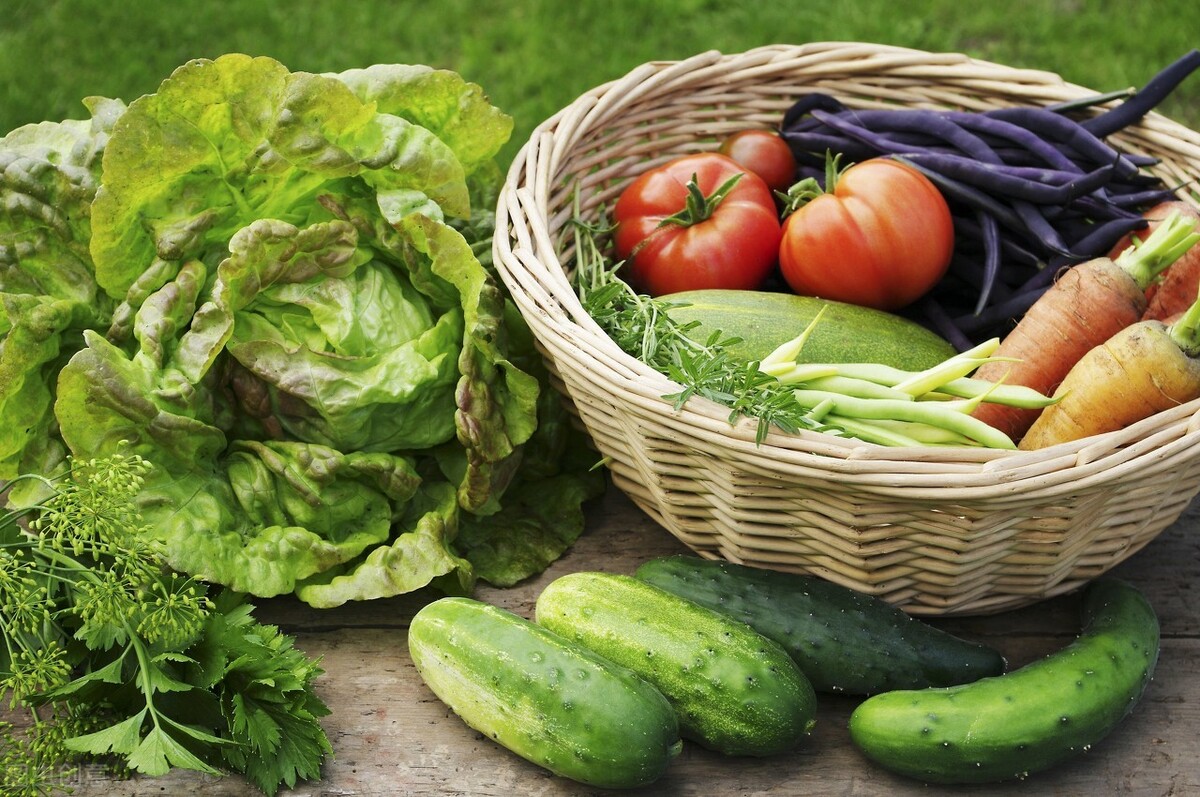 蔬菜“降价潮”：生菜2元，西红柿1.5，叶菜降30%，还降吗
