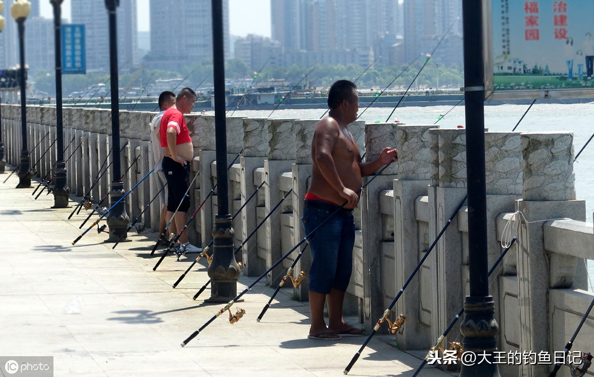 鲶鱼好吃吗刺多吗（鲶鱼的营养价值及品种介绍）