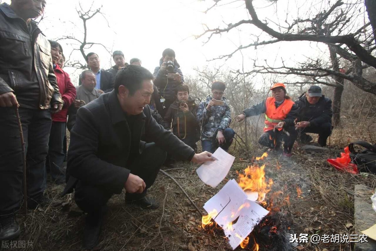 農村俗語：“女婿莫上墳，上墳辱先人”？為啥這樣說？