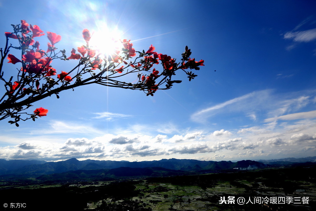 三千繁华，弹指刹那，愿你不枉此生，不负流年不负美