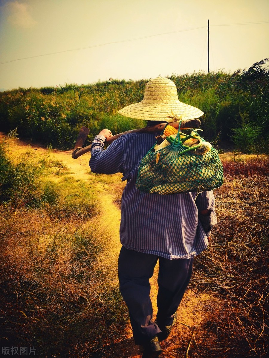 和父亲说说心里话，让夏风稍给您，寄予天堂