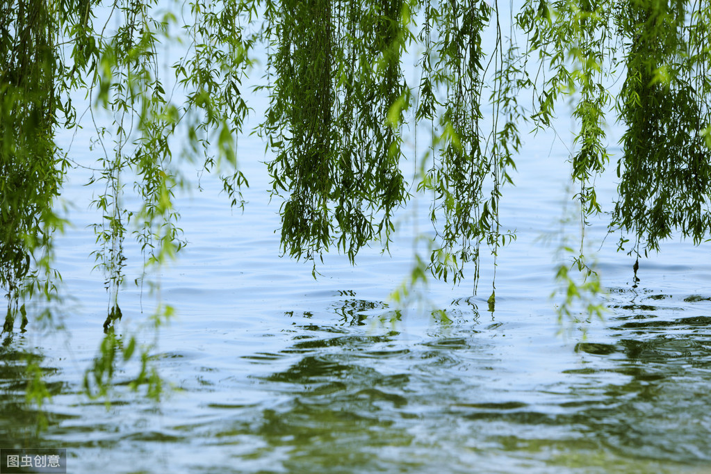 宋代诗人徐俯一首《春游湖》，靠这两个字写活春天