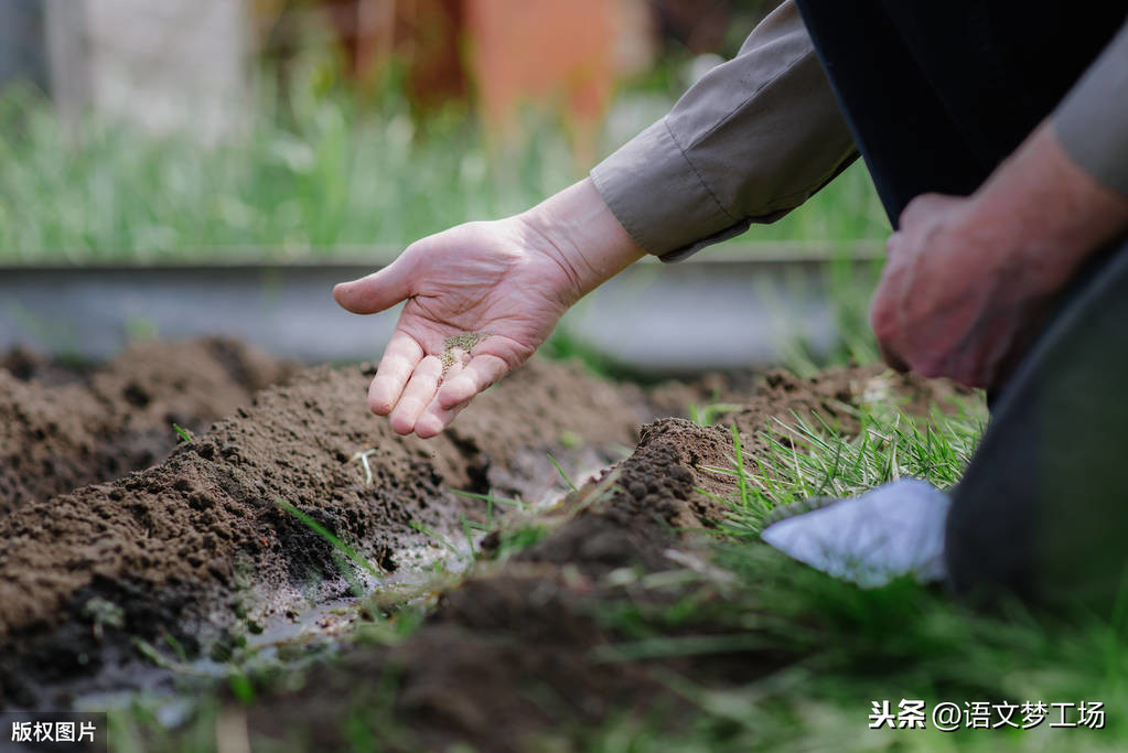 历年中考满分作文欣赏：走过那一个拐角