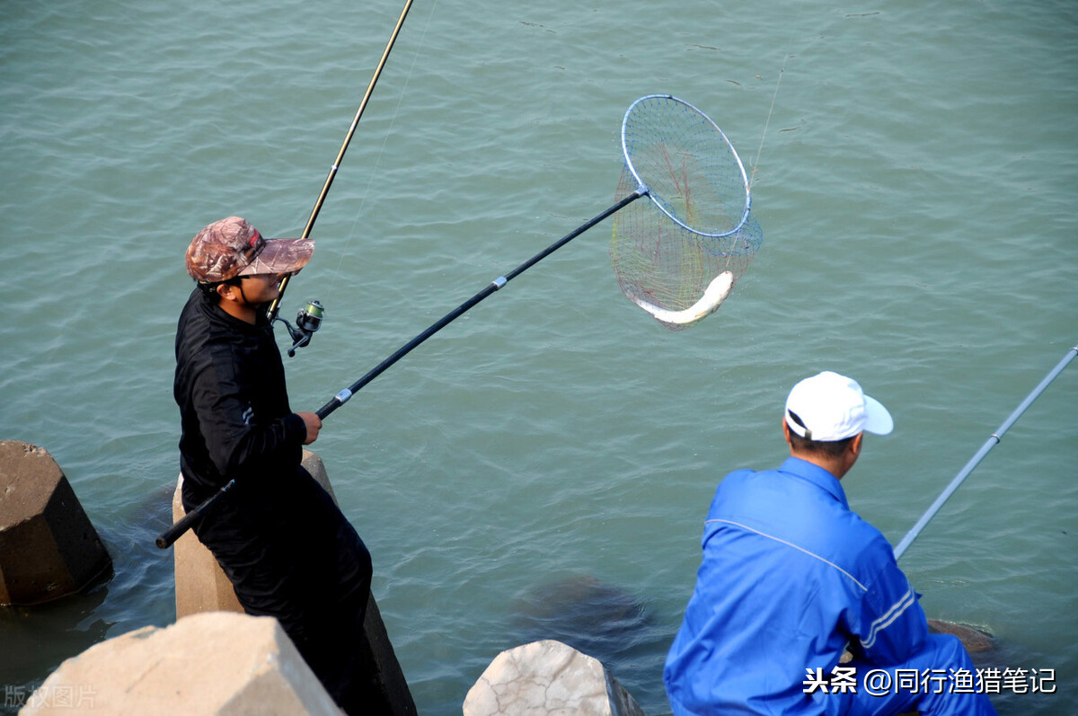 海杆如何裝魚線與鉛墜海竿的安裝使用及垂釣方法