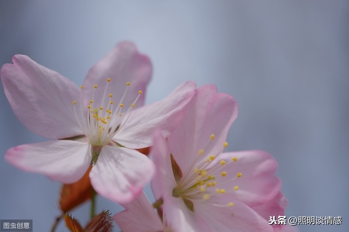 岁月静好与君语；细水流年与君同；繁华落尽与君老。有你真好