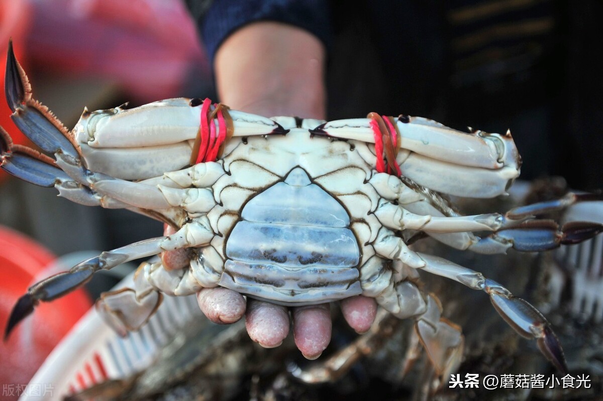 梭子蟹怎么清理干净（多加这一步螃蟹鲜香不流黄）