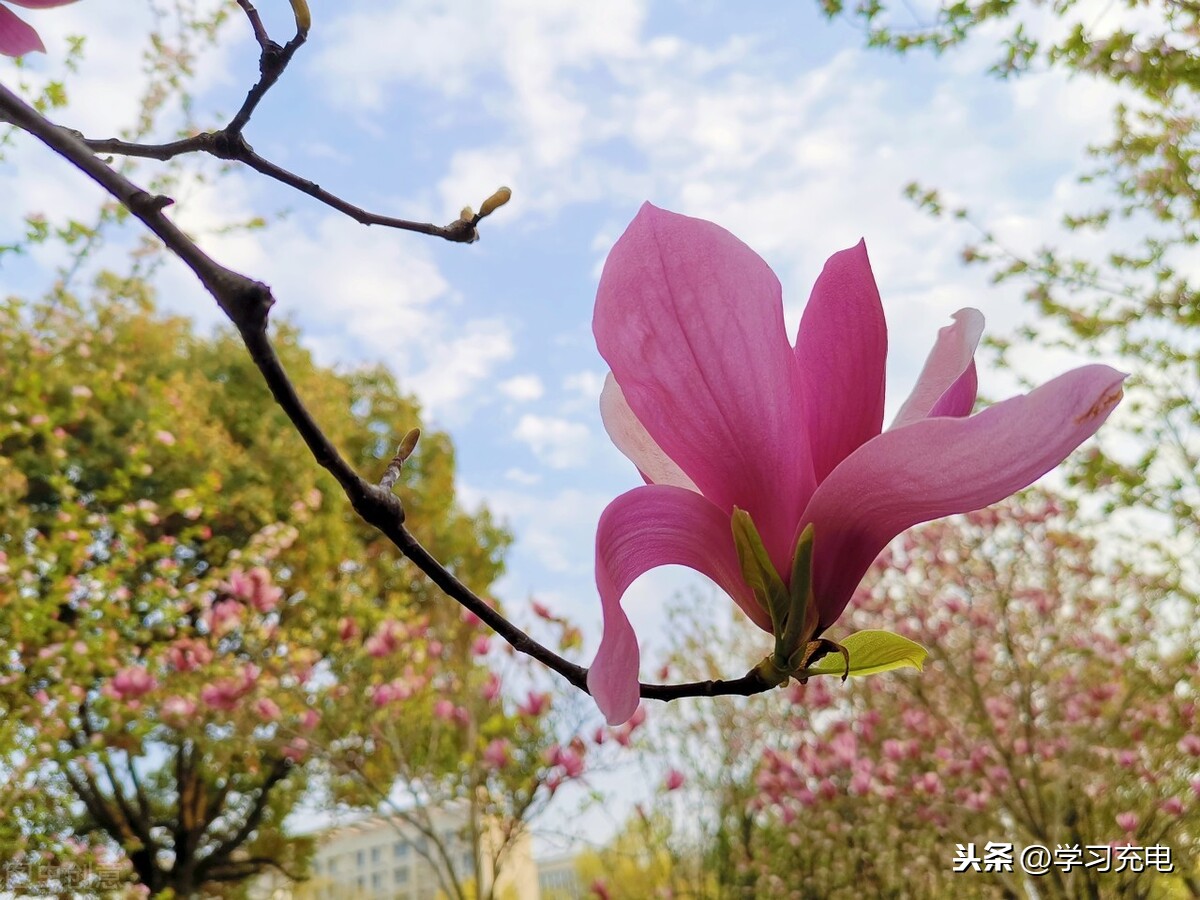 芜湖也有好大学！这3所大学，挺不错