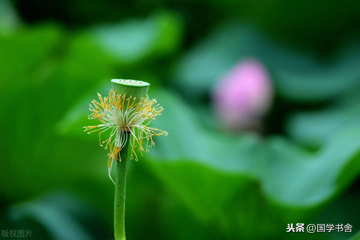 《小窗幽记》：世间万法皆空，随缘便是修行