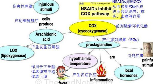 小儿退烧药物该怎么科学安全选择？注意哪些事项？宝妈宝爸须知