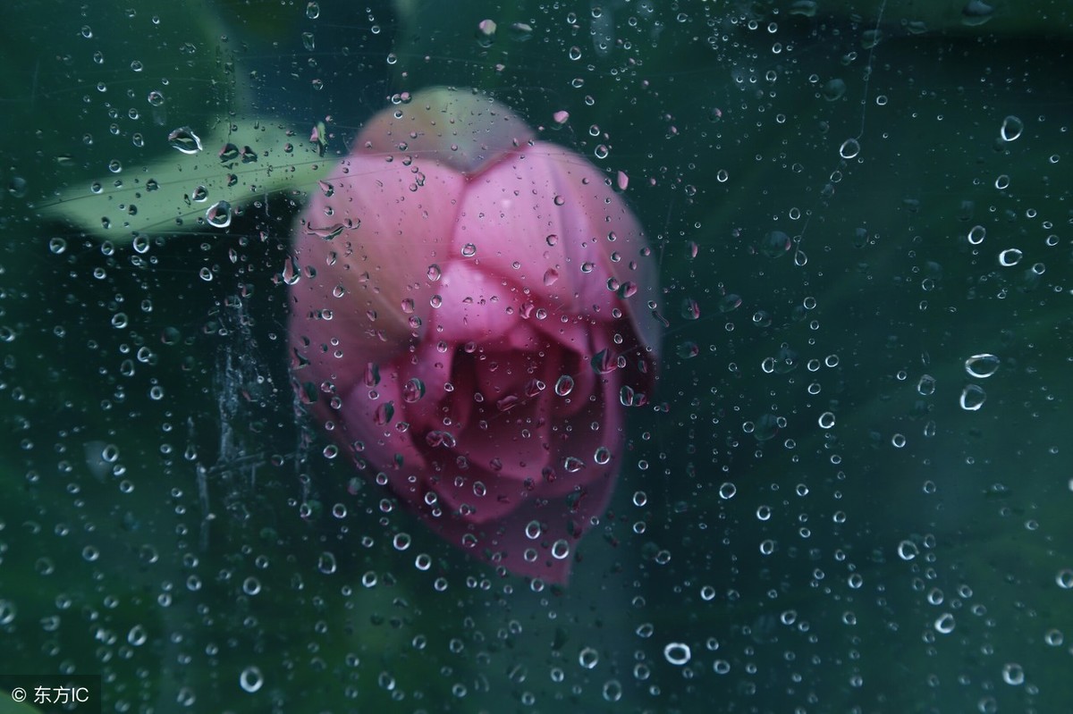 《在细雨中呼喊》30句经典语录，道尽命运与生死的真谛！