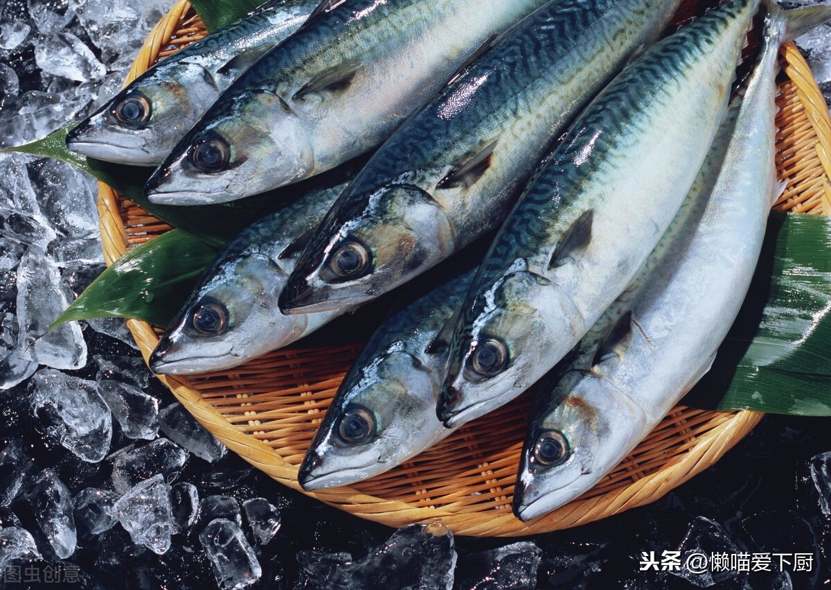 常吃的海魚圖片和名稱(買魚時) - 赤虎壹號