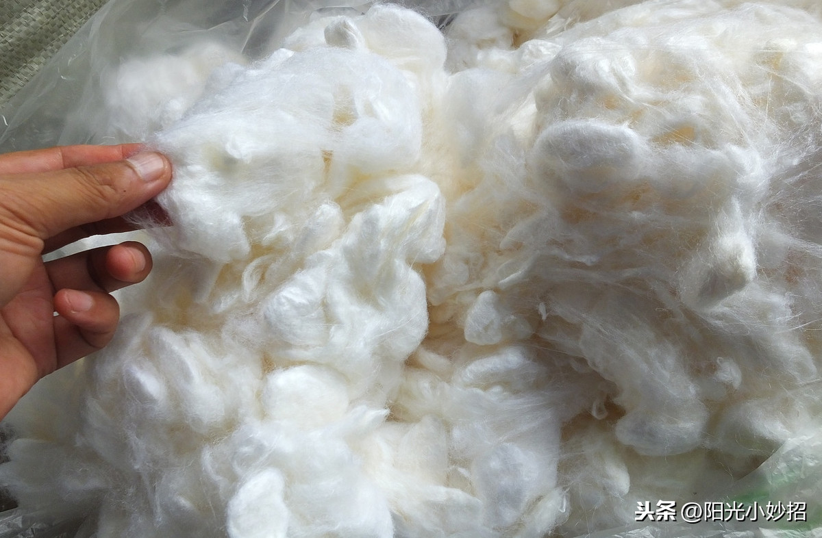 蚕丝被怎么洗涤和保养方法，泛黄蚕丝被正确洗法