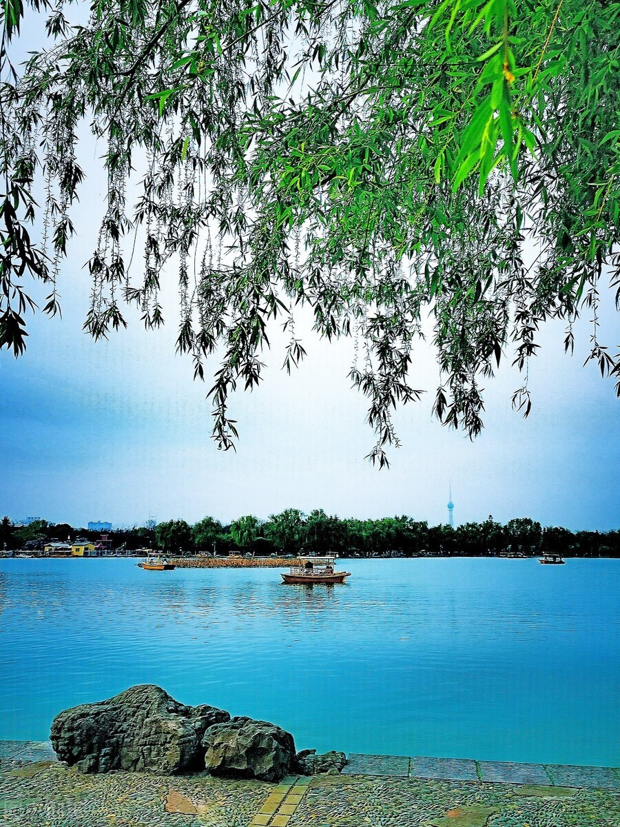 东风潜柔情，润物细无声——雨水，待生命长成，让好事发生