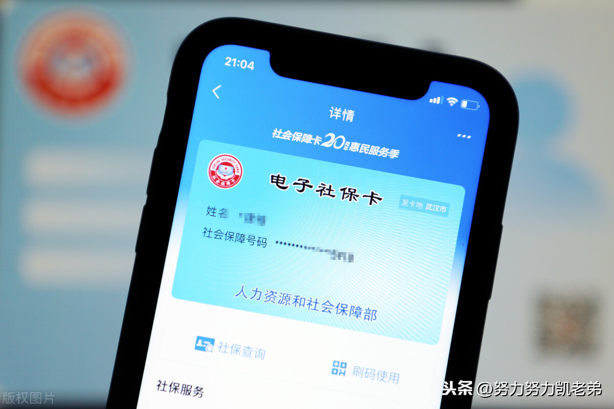 个人养老金保险查询,个人养老金保险查询个人账户