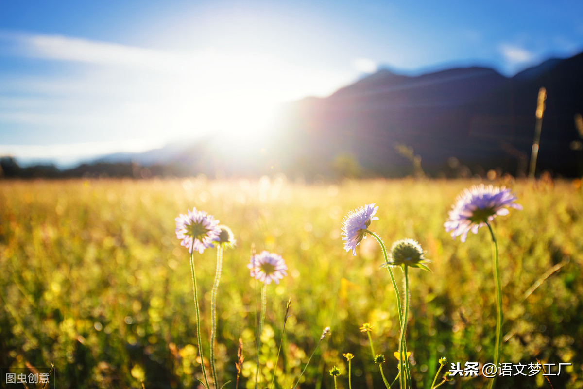 20条哲理语录告诉你：保持阳光的心态，坦然面对人生的坎坷曲折