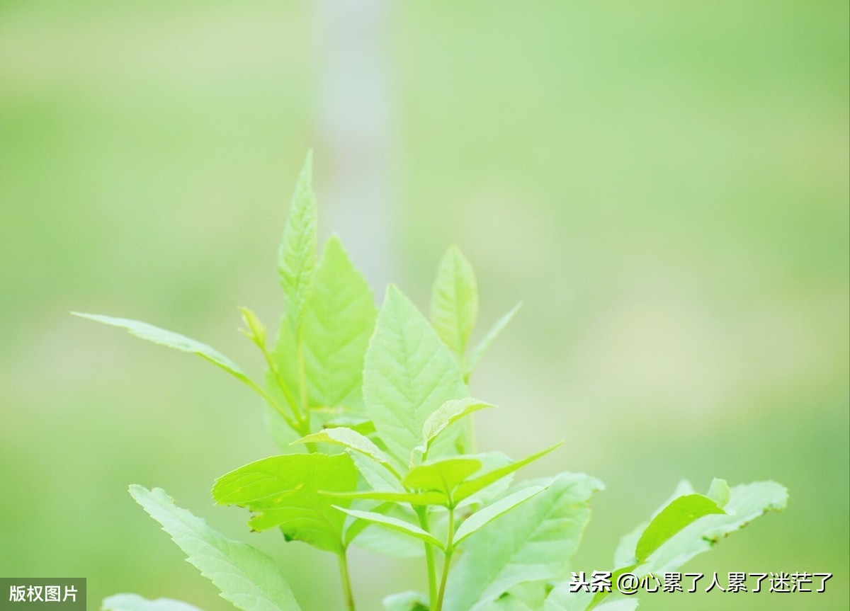 句句说到心坎的人生感悟，怨恨别人，气坏自己