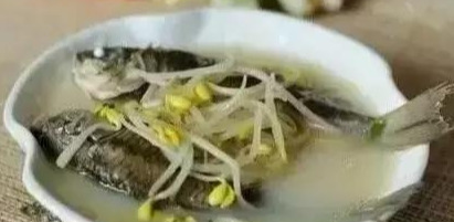 长豆芽的做法大全家常做法（10种豆芽做法爽口下饭）