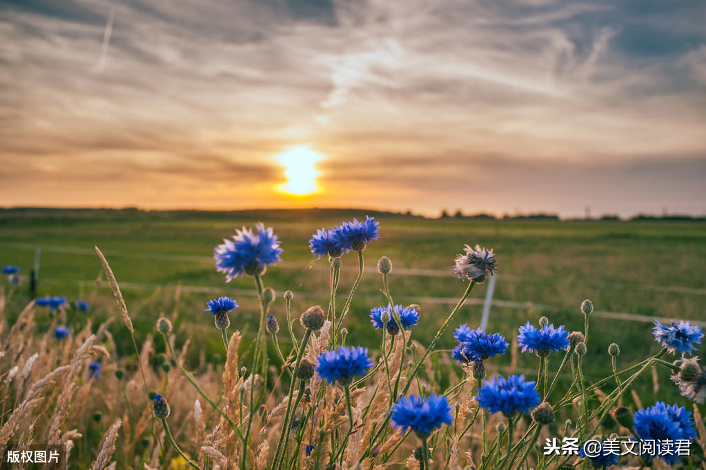 关于夏天的经典文艺语录，原来夏天也可以这么美好