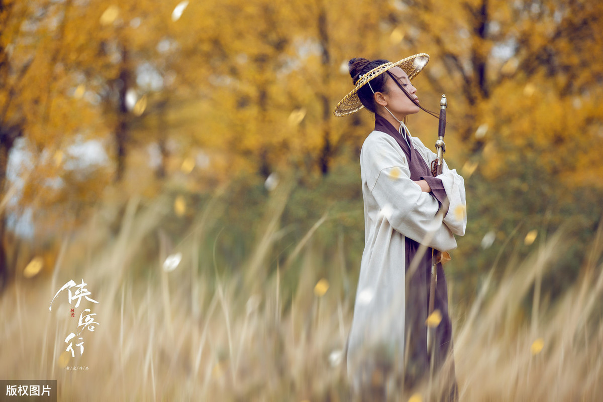 读诗｜李白的侠气：纵死侠骨香，不惭世上英