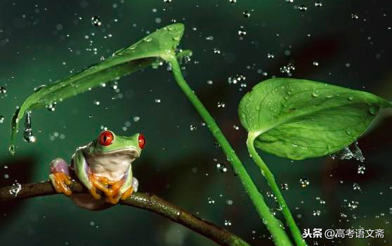 如何描写夏天下雨呢？这文章真是精品