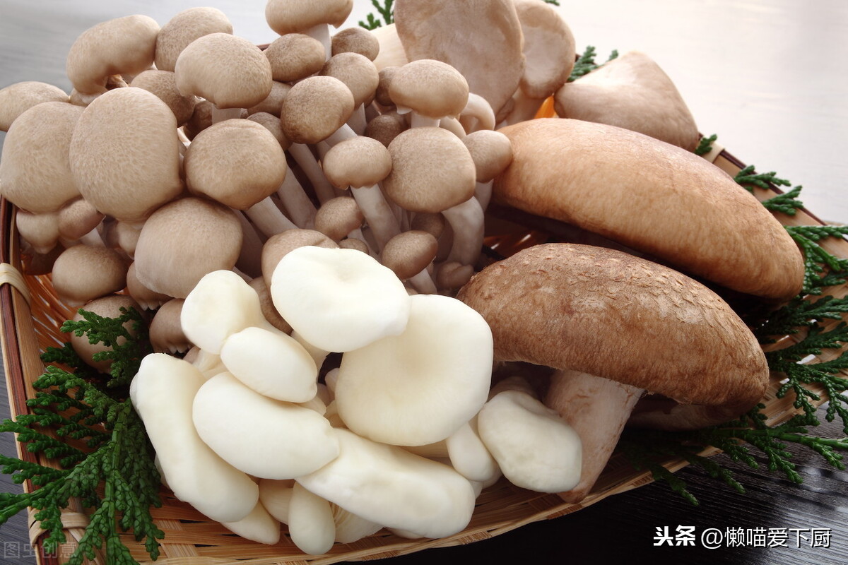杏鮑菇的產(chǎn)地,杏鮑菇的產(chǎn)地聯(lián)系方式