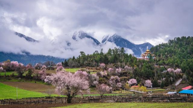 桃花一开，林芝就成了仙境