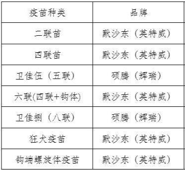 幼犬什么时候能打疫苗？应该要打几针？一篇文帮主人弄明白