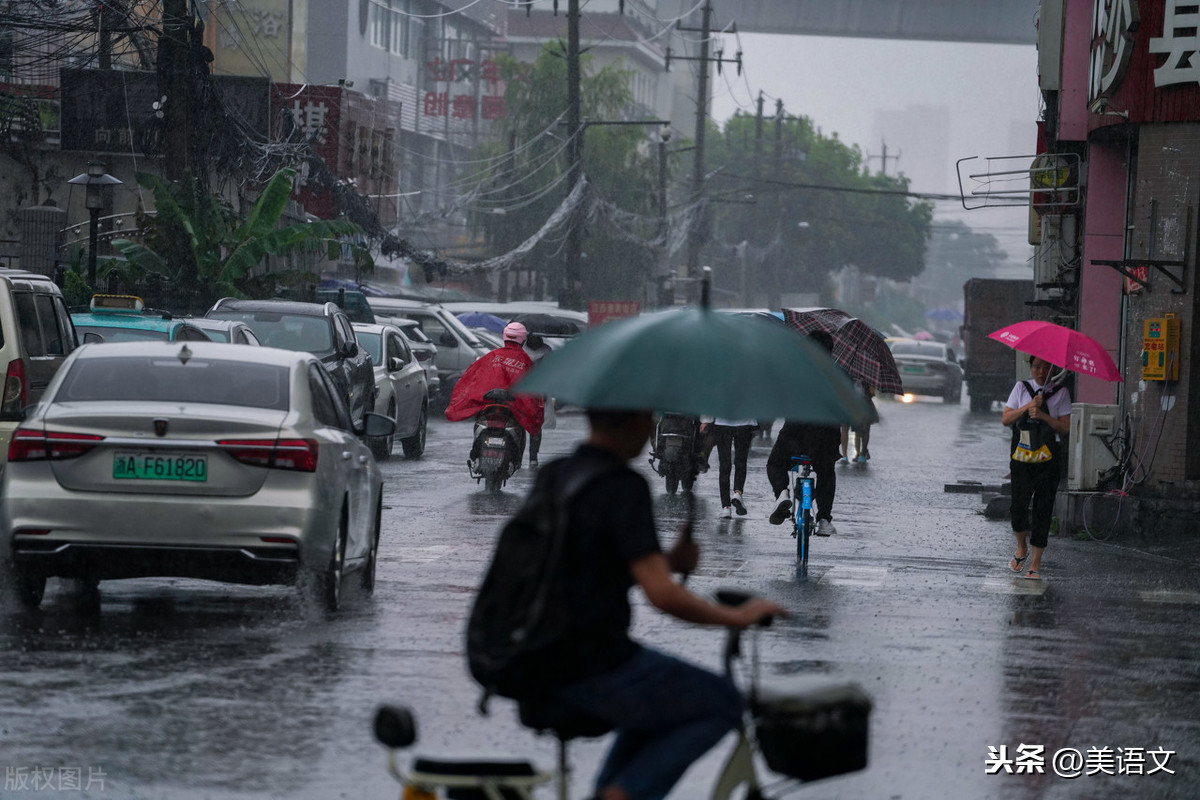 优秀习作---《雨中即景》