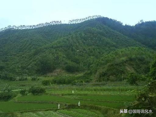 阴宅风水为何能福荫子孙后代？且看风水大师杨救贫疑龙十问怎么说