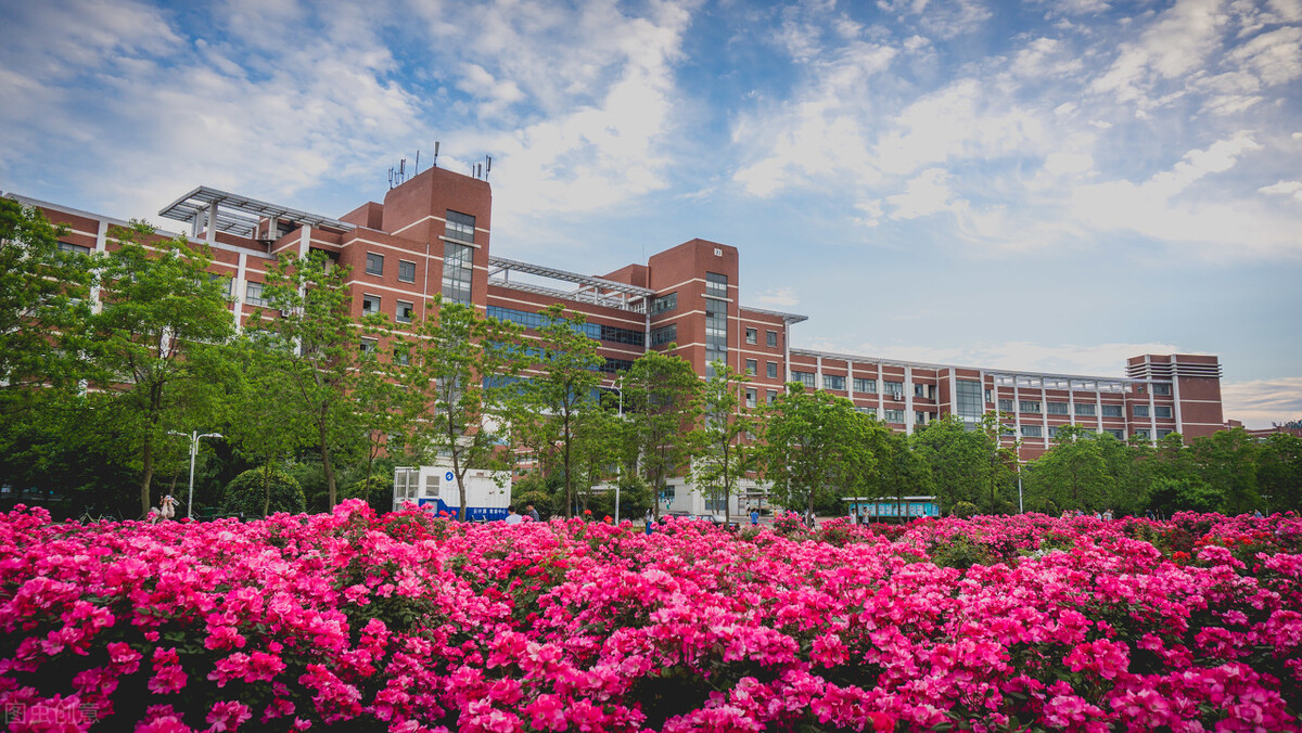 一所大学两次签约省市共建，山东省发力高等教育，涉及8城10校