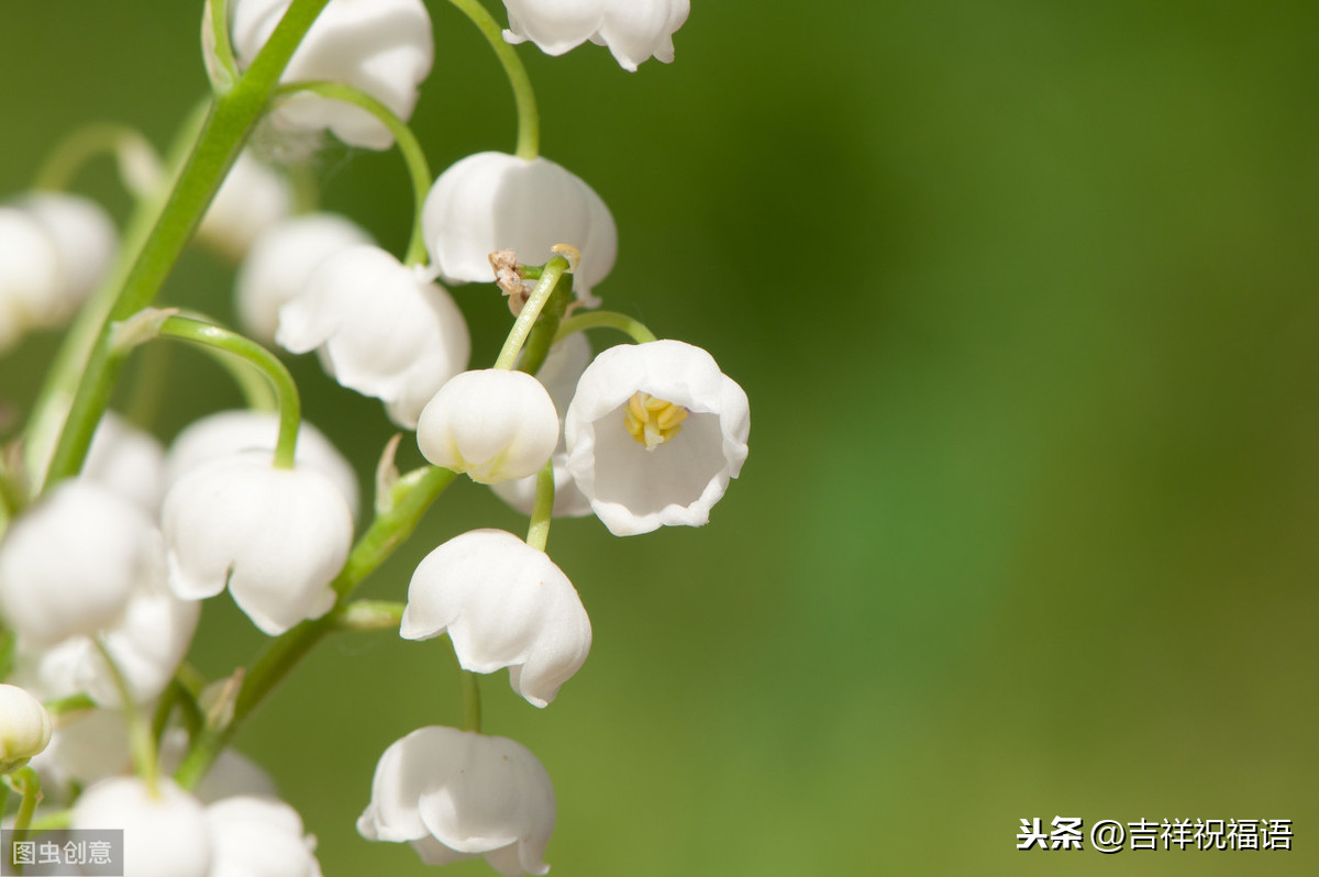 人生是杯茶，是苦是甜都要喝