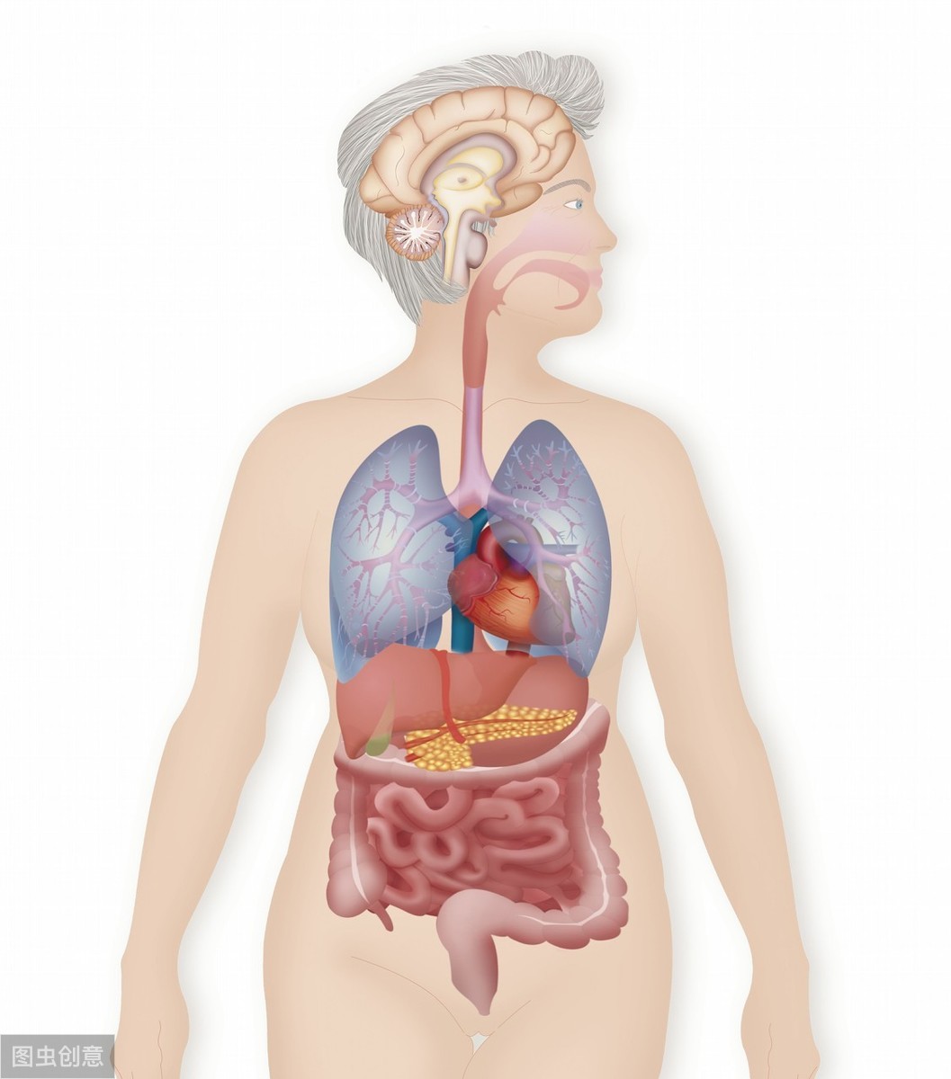 甲状腺疾病包括哪些？甲功有哪些项目和指标？偏高偏低各代表什么