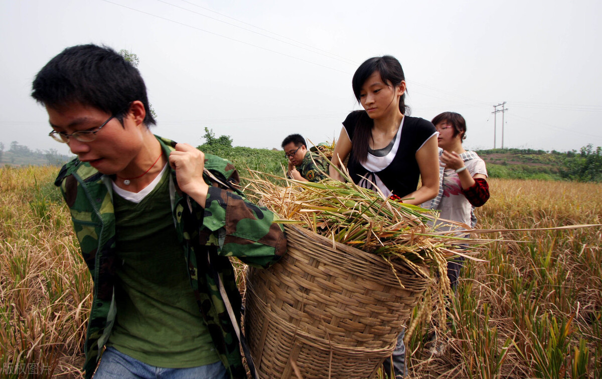 月薪3000无编制，本科生毕业去做村干部，到底值不值？