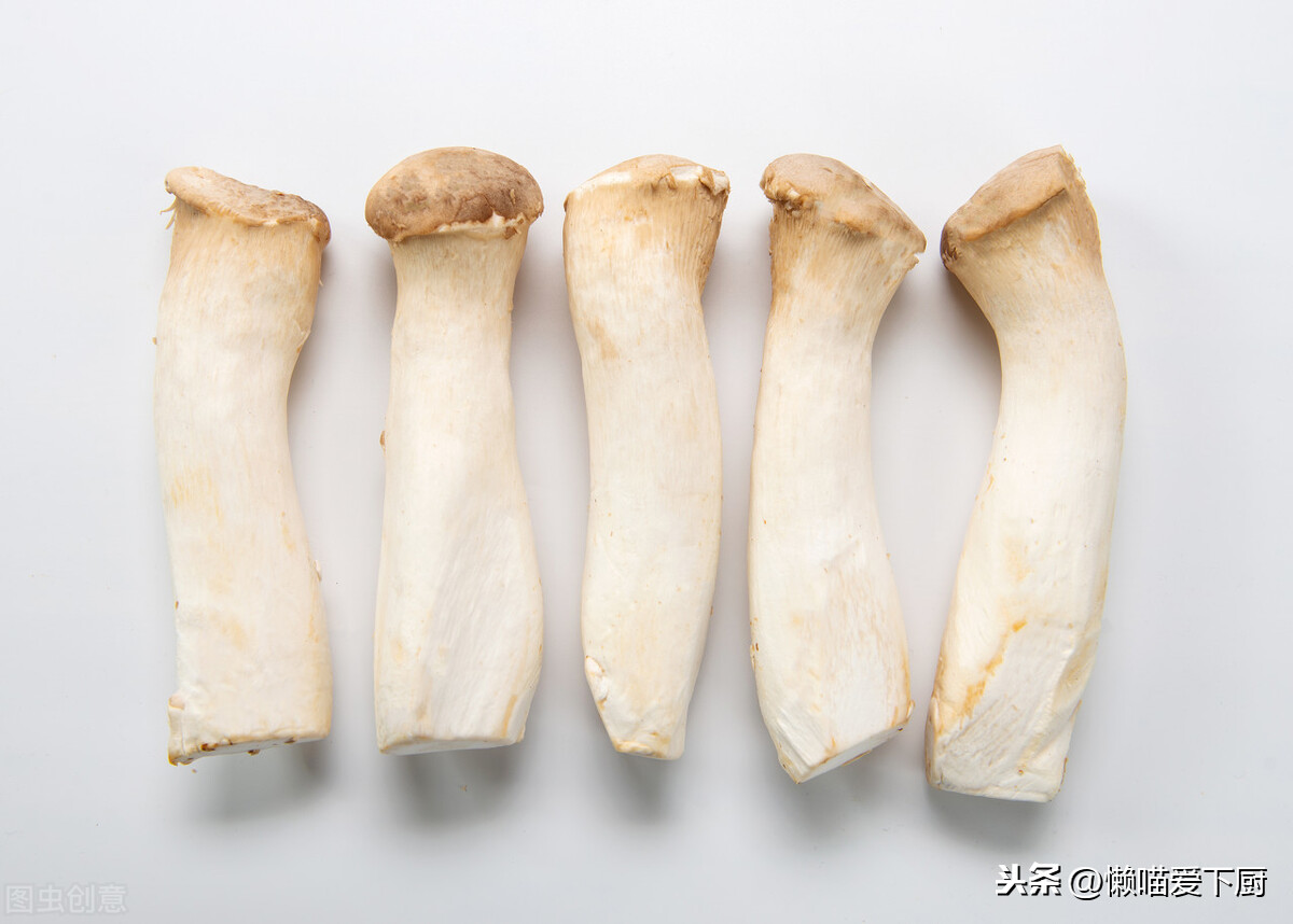 杏鮑菇的產(chǎn)地,杏鮑菇的產(chǎn)地聯(lián)系方式
